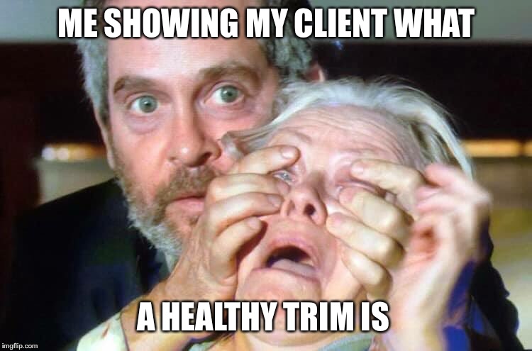 OPEN YOUR EYES | ME SHOWING MY CLIENT WHAT; A HEALTHY TRIM IS | image tagged in open your eyes | made w/ Imgflip meme maker