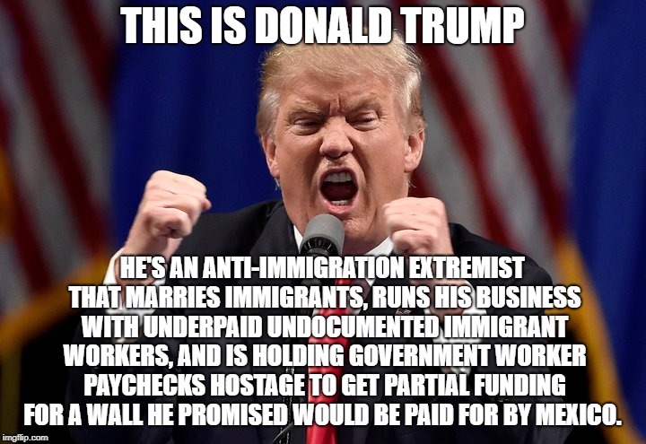 Who is this?  | THIS IS DONALD TRUMP; HE'S AN ANTI-IMMIGRATION EXTREMIST THAT MARRIES IMMIGRANTS, RUNS HIS BUSINESS WITH UNDERPAID UNDOCUMENTED IMMIGRANT WORKERS, AND IS HOLDING GOVERNMENT WORKER PAYCHECKS HOSTAGE TO GET PARTIAL FUNDING FOR A WALL HE PROMISED WOULD BE PAID FOR BY MEXICO. | image tagged in donald trump,conservative hypocrisy,the wall,mexico wall | made w/ Imgflip meme maker