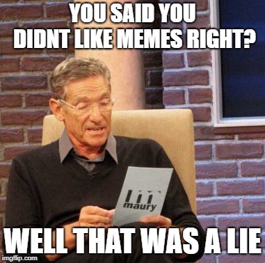 Maury Lie Detector | YOU SAID YOU DIDNT LIKE MEMES RIGHT? WELL THAT WAS A LIE | image tagged in memes,maury lie detector | made w/ Imgflip meme maker