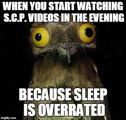 Owly | WHEN YOU START WATCHING S.C.P. VIDEOS IN THE EVENING; BECAUSE SLEEP IS OVERRATED | image tagged in owly,memes,weird stuff i do,sleep,scp meme,horror | made w/ Imgflip meme maker