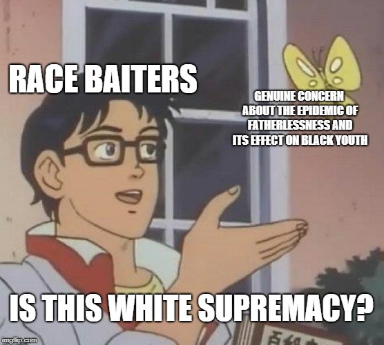 Is This A Pigeon | RACE BAITERS; GENUINE CONCERN ABOUT THE EPIDEMIC OF FATHERLESSNESS AND ITS EFFECT ON BLACK YOUTH; IS THIS WHITE SUPREMACY? | image tagged in memes,is this a pigeon | made w/ Imgflip meme maker