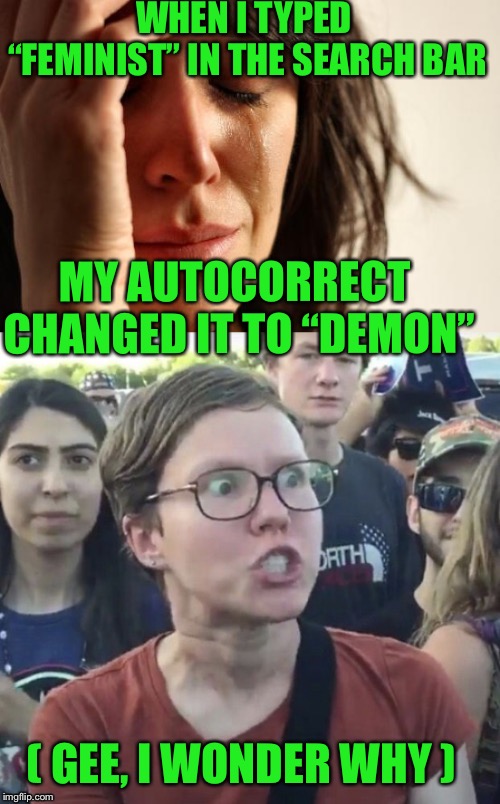 True story.... | WHEN I TYPED “FEMINIST” IN THE SEARCH BAR; MY AUTOCORRECT CHANGED IT TO “DEMON”; ( GEE, I WONDER WHY ) | image tagged in memes,first world problems,feminists are not attractive | made w/ Imgflip meme maker