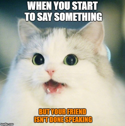 WHEN YOU START TO SAY SOMETHING; BUT YOUR FRIEND ISN'T DONE SPEAKING | image tagged in about to say that cat | made w/ Imgflip meme maker