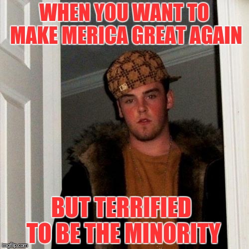 What's so bad about being a minority? Oh, yeah. | WHEN YOU WANT TO MAKE MERICA GREAT AGAIN; BUT TERRIFIED TO BE THE MINORITY | image tagged in memes,scumbag steve,maga,minorities,political meme | made w/ Imgflip meme maker