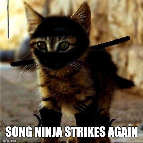 Ninja Cat | SONG NINJA STRIKES AGAIN | image tagged in ninja cat | made w/ Imgflip meme maker
