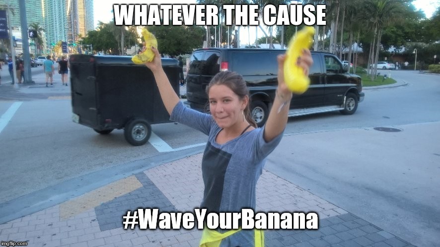 The Revolution | WHATEVER THE CAUSE | image tagged in waveyoutbanana | made w/ Imgflip meme maker