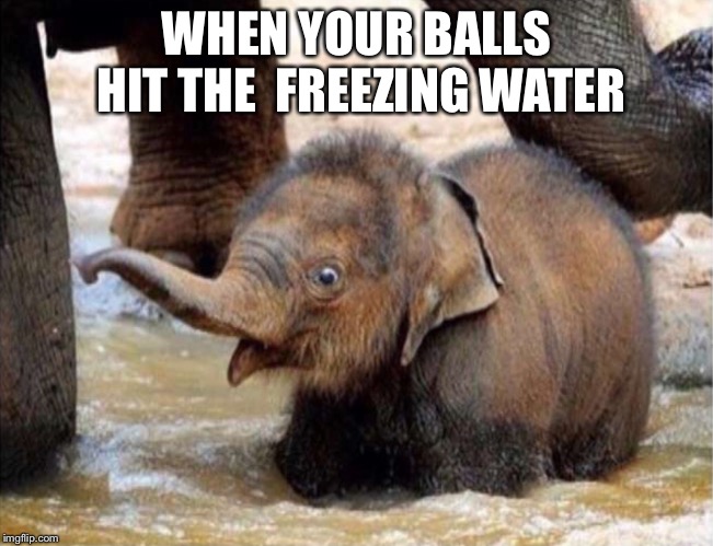 WHEN YOUR BALLS HIT THE  FREEZING WATER | image tagged in funny | made w/ Imgflip meme maker