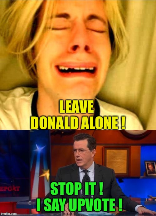 LEAVE DONALD ALONE ! STOP IT !  I SAY UPVOTE ! | image tagged in memes,speechless colbert face,leave britney alone | made w/ Imgflip meme maker