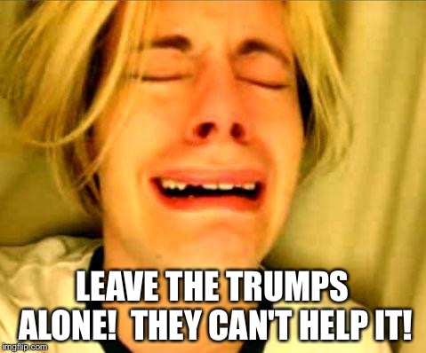 Leave Britney Alone | LEAVE THE TRUMPS ALONE!  THEY CAN'T HELP IT! | image tagged in leave britney alone | made w/ Imgflip meme maker