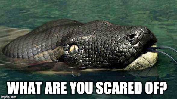 Big Snake thing | WHAT ARE YOU SCARED OF? | image tagged in big snake thing | made w/ Imgflip meme maker
