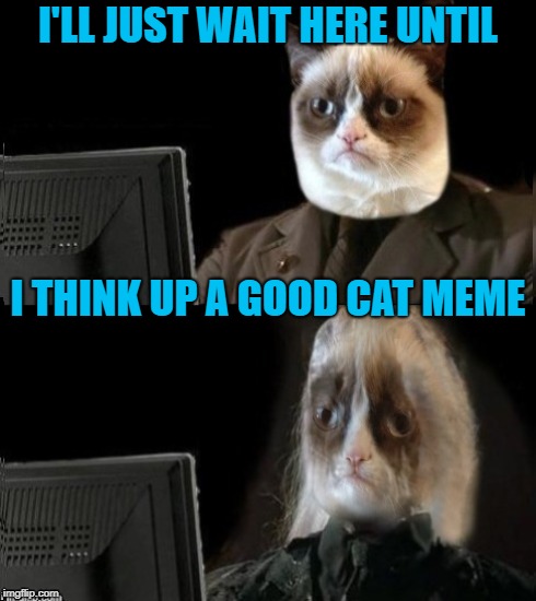 Burn out | I'LL JUST WAIT HERE UNTIL; I THINK UP A GOOD CAT MEME | image tagged in funny memes,i'll just wait here guy,grumpy cat,cat,cat memes | made w/ Imgflip meme maker