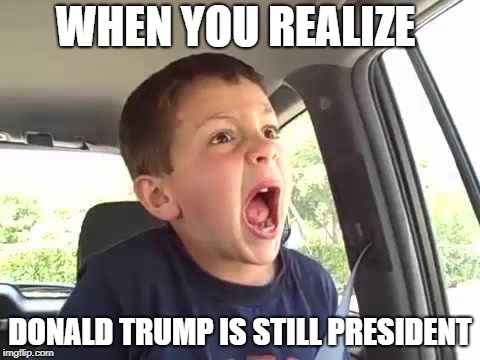 David after Donald | WHEN YOU REALIZE; DONALD TRUMP IS STILL PRESIDENT | image tagged in david after dentist,politics,when you realize | made w/ Imgflip meme maker
