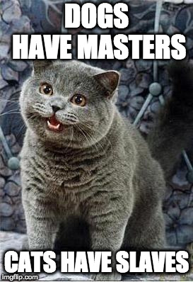 I can has cheezburger cat | DOGS HAVE MASTERS CATS HAVE SLAVES | image tagged in i can has cheezburger cat | made w/ Imgflip meme maker