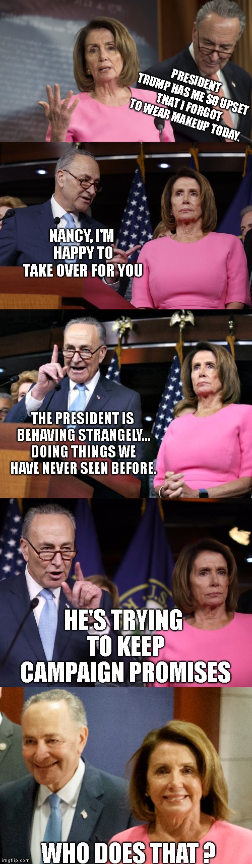 Nancy and Chuck.. Two Birds Of A Feather.. | PRESIDENT TRUMP HAS ME SO UPSET THAT I FORGOT TO WEAR MAKEUP TODAY. NANCY, I'M HAPPY TO TAKE OVER FOR YOU; THE PRESIDENT IS BEHAVING STRANGELY... DOING THINGS WE HAVE NEVER SEEN BEFORE. HE'S TRYING TO KEEP CAMPAIGN PROMISES; WHO DOES THAT ? | image tagged in nancy pelosi,chuck schumer,president donald trump,democrats keep losing,america keeps winning | made w/ Imgflip meme maker