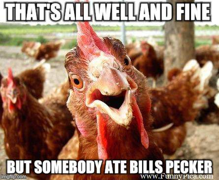 Chicken | THAT'S ALL WELL AND FINE BUT SOMEBODY ATE BILLS PECKER | image tagged in chicken | made w/ Imgflip meme maker