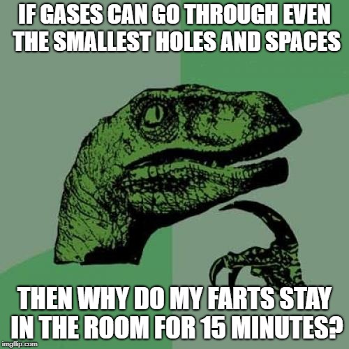 Philosoraptor | IF GASES CAN GO THROUGH EVEN THE SMALLEST HOLES AND SPACES; THEN WHY DO MY FARTS STAY IN THE ROOM FOR 15 MINUTES? | image tagged in memes,philosoraptor | made w/ Imgflip meme maker
