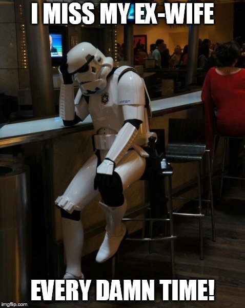 Only imperial storm troopers are so imprecise. | I MISS MY EX-WIFE; EVERY DAMN TIME! | image tagged in sad stormtrooper at the bar | made w/ Imgflip meme maker