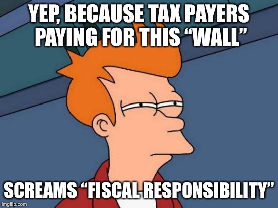 Futurama Fry | YEP, BECAUSE TAX PAYERS PAYING FOR THIS “WALL”; SCREAMS “FISCAL RESPONSIBILITY” | image tagged in memes,futurama fry | made w/ Imgflip meme maker