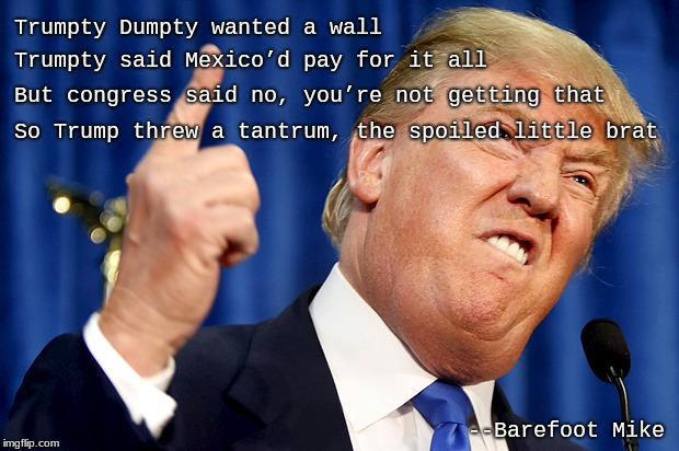 Trumpty Dumpty | Trumpty Dumpty wanted a wall; Trumpty said Mexico’d pay for it all; But congress said no, you’re not getting that; So Trump threw a tantrum, the spoiled little brat; --Barefoot Mike | image tagged in donald trump | made w/ Imgflip meme maker