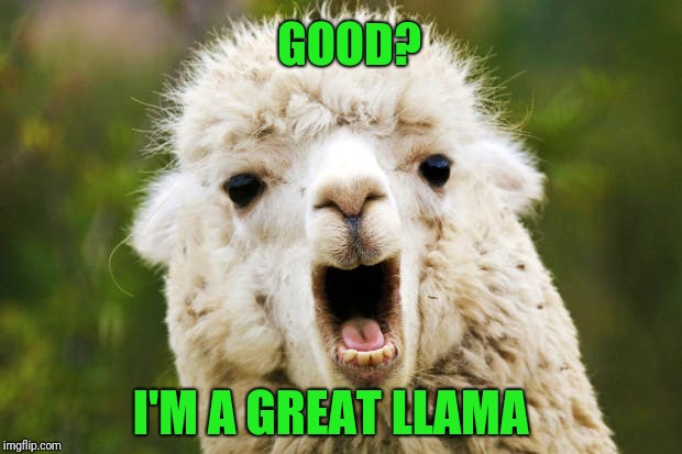 I'M A GREAT LLAMA GOOD? | made w/ Imgflip meme maker