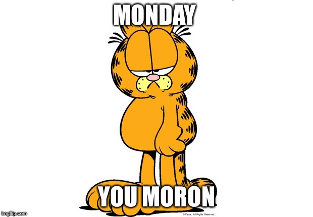 Grumpy Garfield | MONDAY; YOU MORON | image tagged in grumpy garfield | made w/ Imgflip meme maker