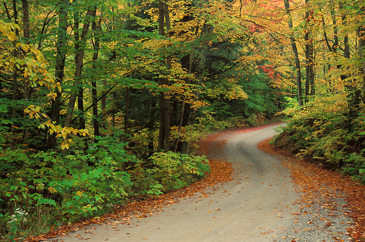 High Quality dirt road in fall Blank Meme Template