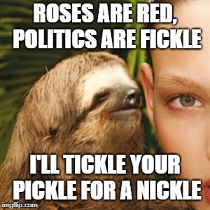 Whisper Sloth Meme | ROSES ARE RED, POLITICS ARE FICKLE; I'LL TICKLE YOUR PICKLE FOR A NICKLE | image tagged in memes,whisper sloth | made w/ Imgflip meme maker