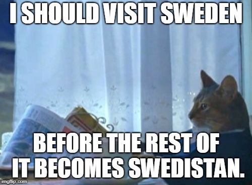 Last Dance in Sweden | I SHOULD VISIT SWEDEN; BEFORE THE REST OF IT BECOMES SWEDISTAN. | image tagged in memes,i should buy a boat cat,religion of peace,sweden | made w/ Imgflip meme maker