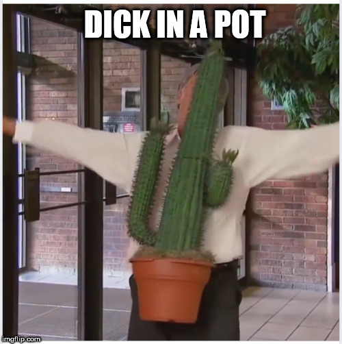  DICK IN A POT | image tagged in dick,dick pic,pot,cactus,thorns,plant | made w/ Imgflip meme maker