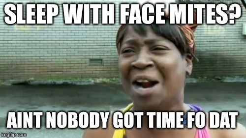 Ain't Nobody Got Time For That Meme | SLEEP WITH FACE MITES? AINT NOBODY GOT TIME FO DAT | image tagged in memes,aint nobody got time for that | made w/ Imgflip meme maker