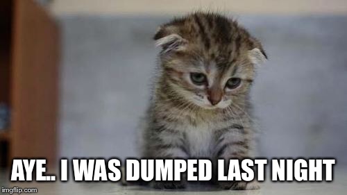 Sad kitten | AYE.. I WAS DUMPED LAST NIGHT | image tagged in sad kitten | made w/ Imgflip meme maker