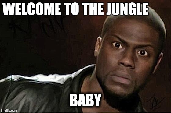 Kevin Hart Meme | WELCOME TO THE JUNGLE; BABY | image tagged in memes,kevin hart | made w/ Imgflip meme maker