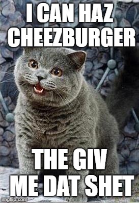 I can has cheezburger cat | I CAN HAZ CHEEZBURGER; THE GIV ME DAT SHET | image tagged in i can has cheezburger cat | made w/ Imgflip meme maker