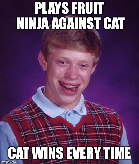 Bad Luck Brian Meme | PLAYS FRUIT NINJA AGAINST CAT CAT WINS EVERY TIME | image tagged in memes,bad luck brian | made w/ Imgflip meme maker