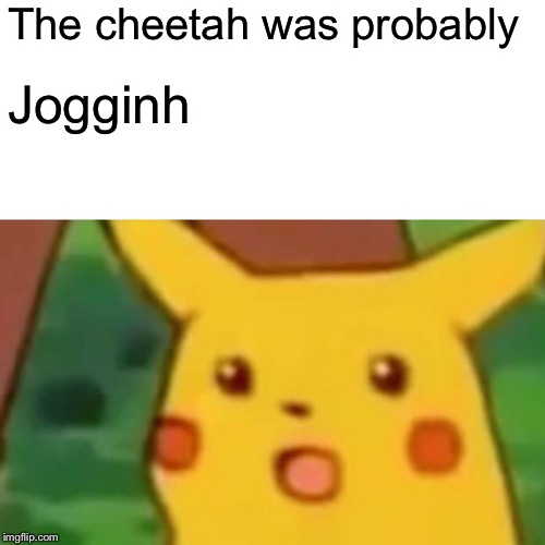 Surprised Pikachu Meme | The cheetah was probably Jogginh | image tagged in memes,surprised pikachu | made w/ Imgflip meme maker