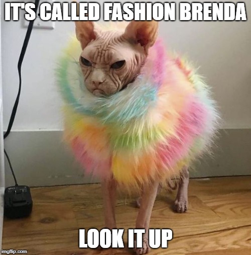 Fashion | IT'S CALLED FASHION BRENDA; LOOK IT UP | image tagged in fashion | made w/ Imgflip meme maker