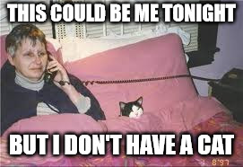 THIS COULD BE ME TONIGHT; BUT I DON'T HAVE A CAT | image tagged in bed,cat,early,newyear | made w/ Imgflip meme maker