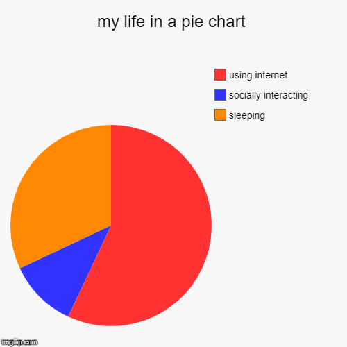 my life in a pie chart | sleeping, socially interacting, using internet | image tagged in funny,pie charts | made w/ Imgflip chart maker