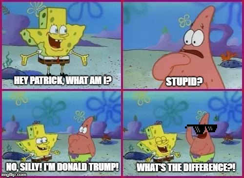 Texas Spongebob | HEY PATRICK, WHAT AM I? STUPID? WHAT'S THE DIFFERENCE?! NO, SILLY! I'M DONALD TRUMP! | image tagged in texas spongebob | made w/ Imgflip meme maker