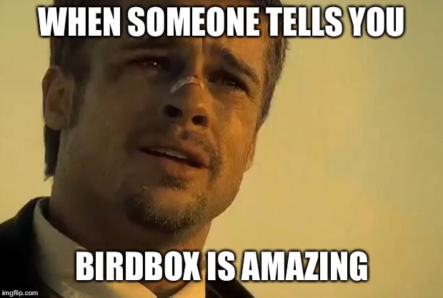  WHEN SOMEONE TELLS YOU; BIRDBOX IS AMAZING | image tagged in brad pitt seven | made w/ Imgflip meme maker