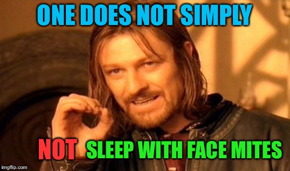 One Does Not Simply Meme | ONE DOES NOT SIMPLY SLEEP WITH FACE MITES NOT | image tagged in memes,one does not simply | made w/ Imgflip meme maker