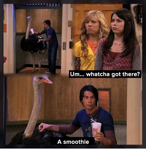 um whatcha got their? a smoothie. Blank Template Imgflip