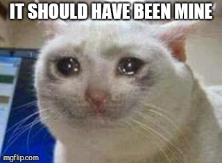 Sad cat | IT SHOULD HAVE BEEN MINE | image tagged in sad cat | made w/ Imgflip meme maker