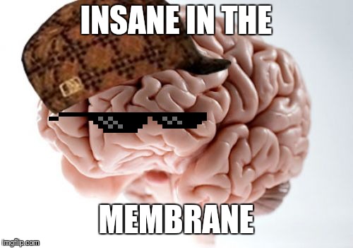 Scumbag Brain | INSANE IN THE; MEMBRANE | image tagged in memes,scumbag brain | made w/ Imgflip meme maker