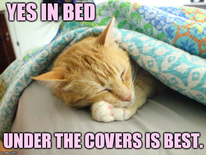 YES IN BED UNDER THE COVERS IS BEST. | made w/ Imgflip meme maker