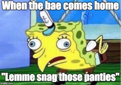 Mocking Spongebob Meme | When the bae comes home; "Lemme snag those panties" | image tagged in memes,mocking spongebob | made w/ Imgflip meme maker