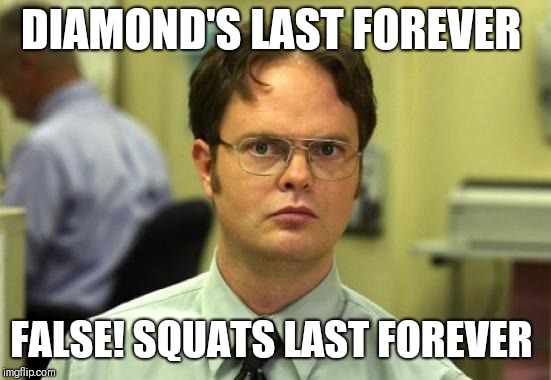 Dwight Schrute Meme | DIAMOND'S LAST FOREVER; FALSE! SQUATS LAST FOREVER | image tagged in memes,dwight schrute | made w/ Imgflip meme maker