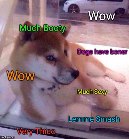 Flirting Doge | Wow; Much Booty; Doge have boner; Wow; Much Sexy; Lemme Smash; Very Thicc | image tagged in flirting doge | made w/ Imgflip meme maker