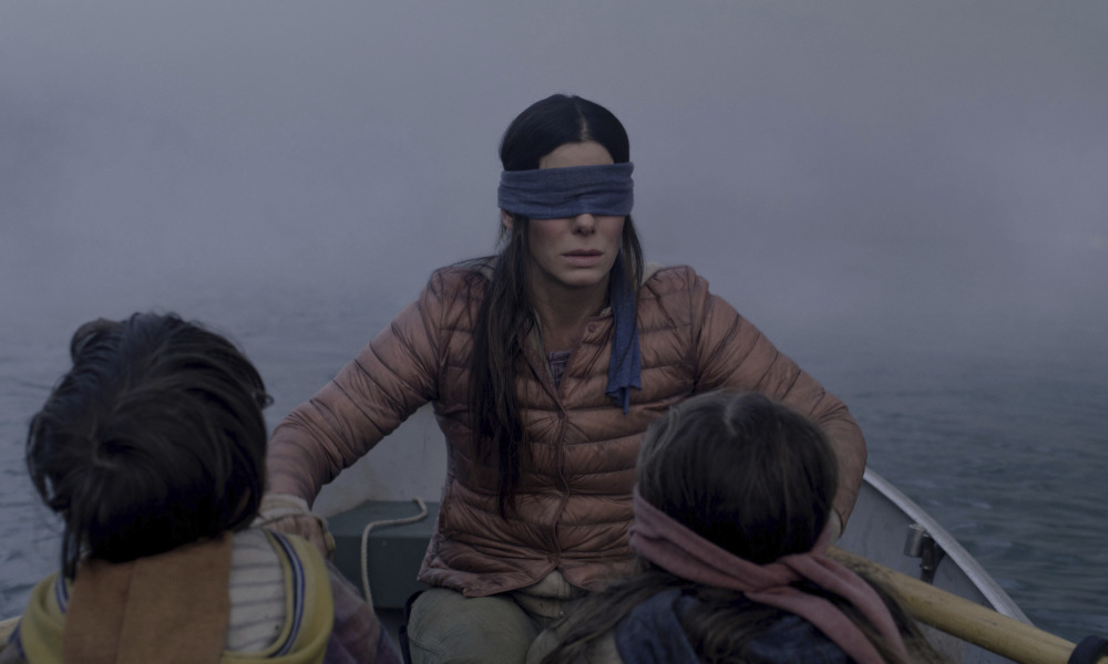 High Quality Bird Box Blank Meme Template