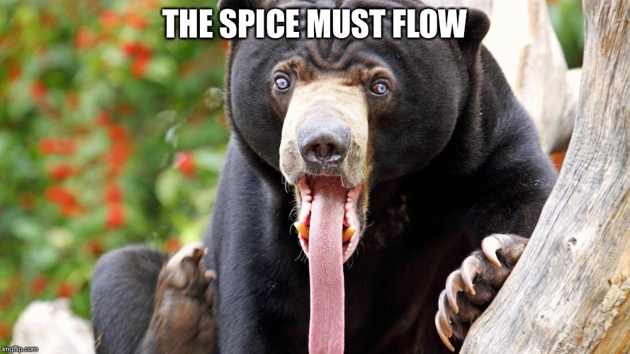 the spice must flow | THE SPICE MUST FLOW | image tagged in bear memes,bear meme,dune,thespicemustflow | made w/ Imgflip meme maker